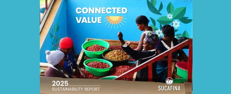 Sustainability Report 2025
